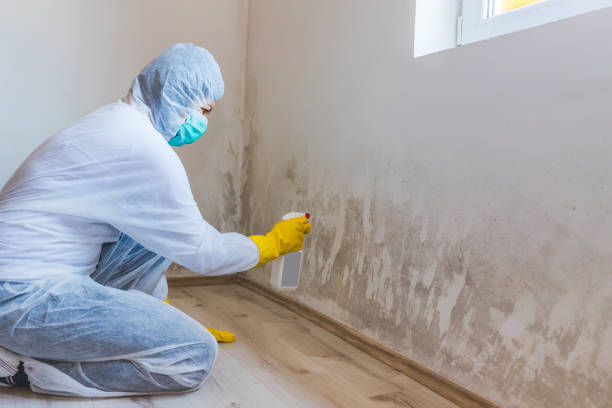 Hvac And Air Duct Mold Remediation inspection of HVAC system in South Boston