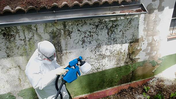 Mold Remediation service in South Boston, South Boston, VA